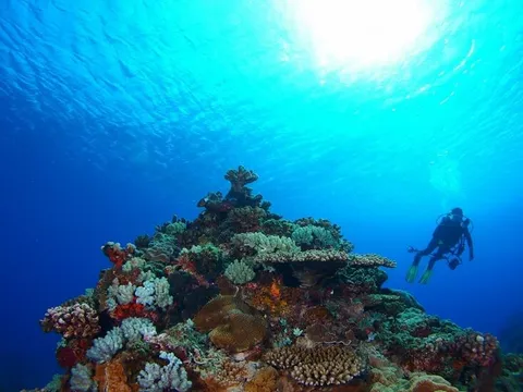 綠島潛水-離島篇