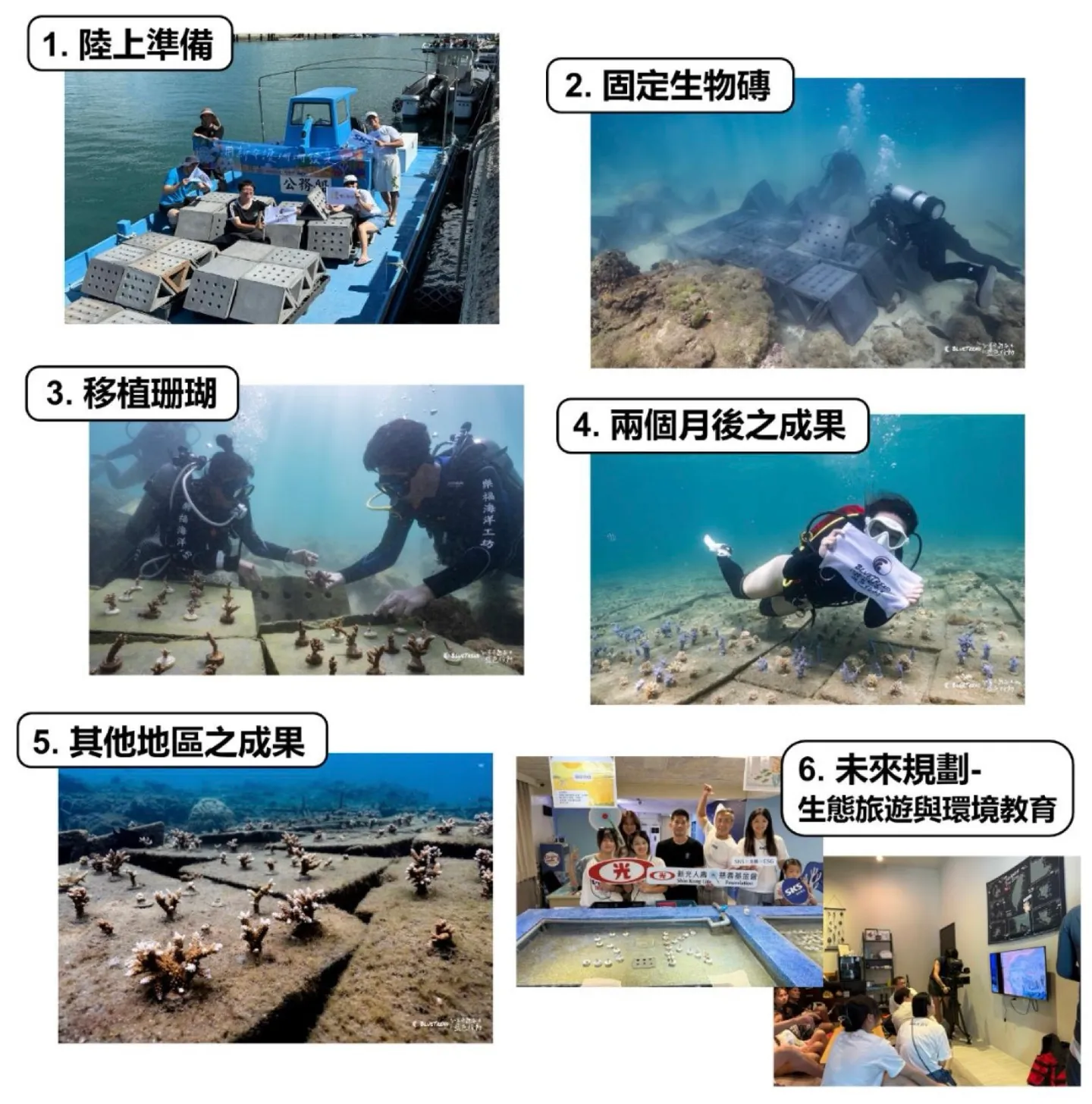 澎湖杭灣生物炭珊瑚復育磚的施作流程