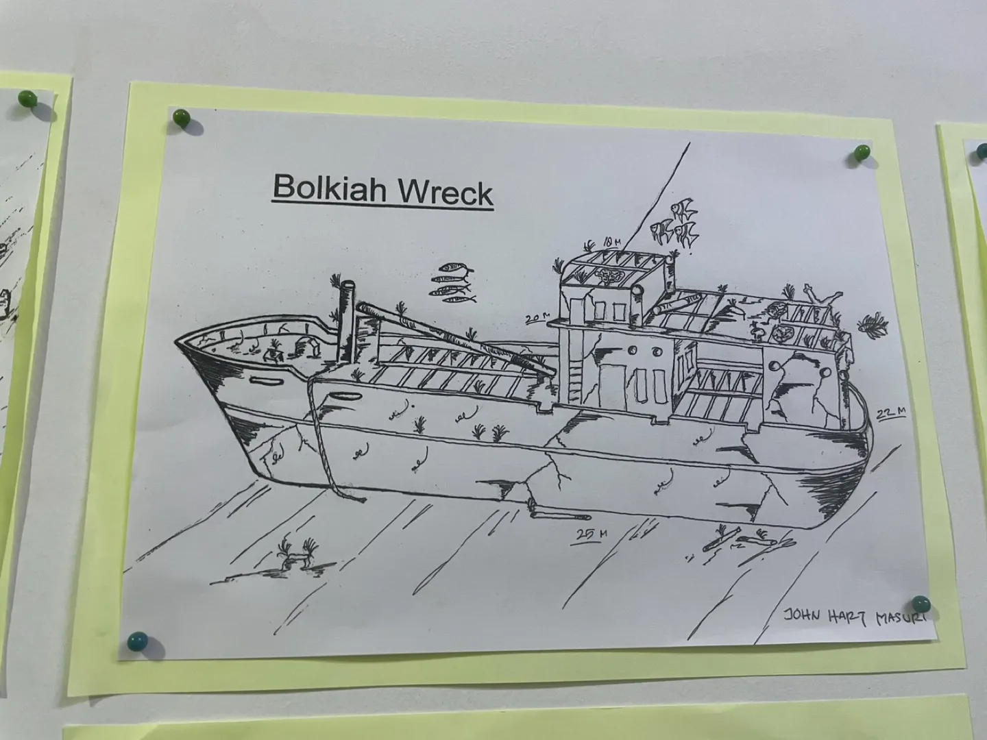 Bolkiah Wreck 沉船結構示意圖