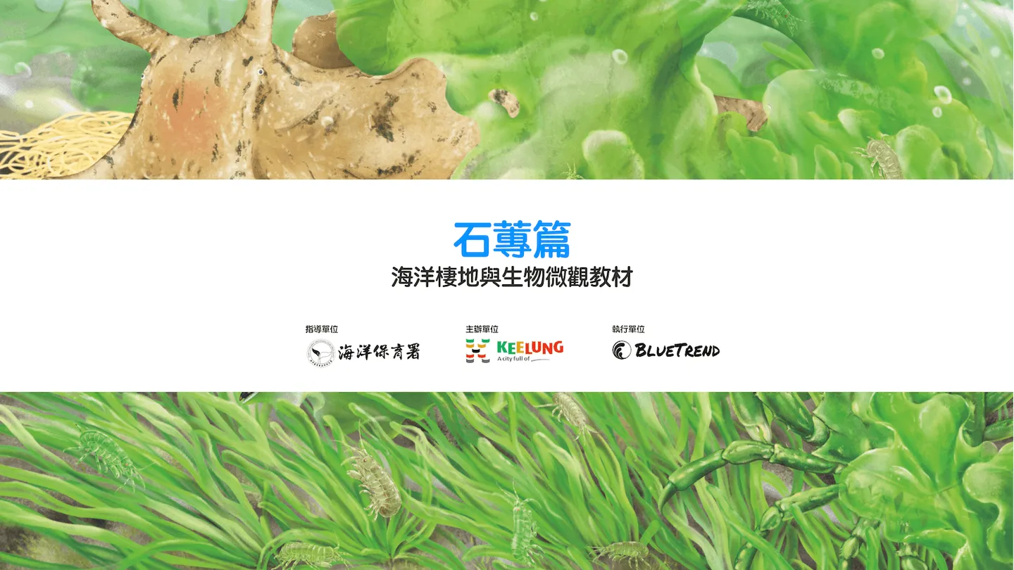 【布魯小教室】石蓴篇｜海洋棲地與生物微觀教材Part 1 ft. 海保署、基隆市政府