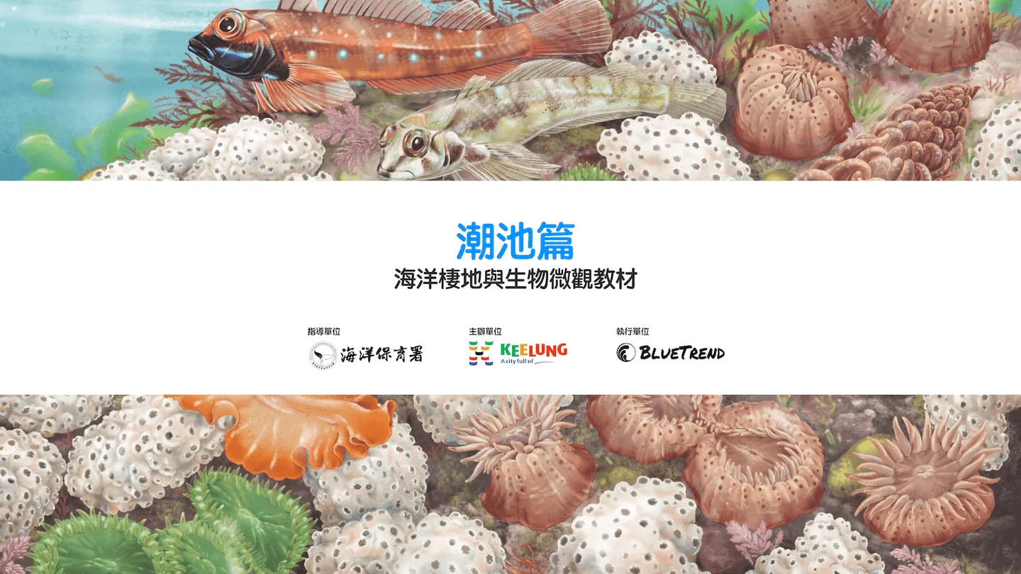 【布魯小教室】潮池篇｜海洋棲地與生物微觀教材Part 2 ft. 海保署、基隆市政府