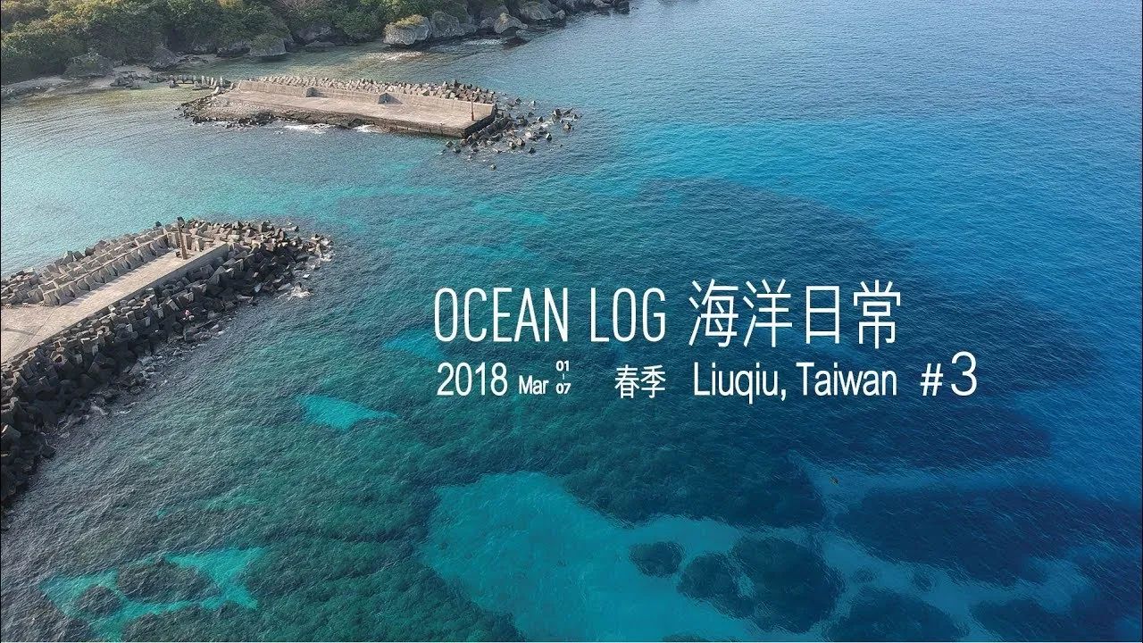 OCEAN LOG 海洋日常 #3  Sardines, Spring Warmth, and the Life and Death of Sea Turtles - 徐伯元