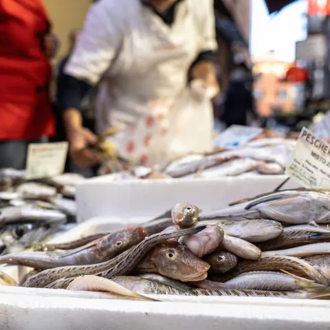 圖表：遵循合乎倫理的捕魚做法