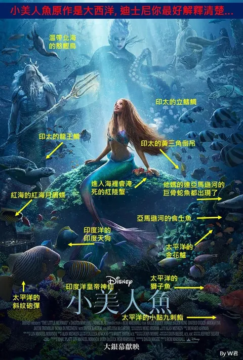 小美人魚真人版海報曝光「淡水魚也游進大西洋?!」那些電影海報教我的海洋教育