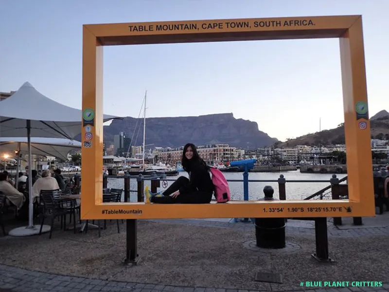 3 Cape Town Dive Shops to Know
