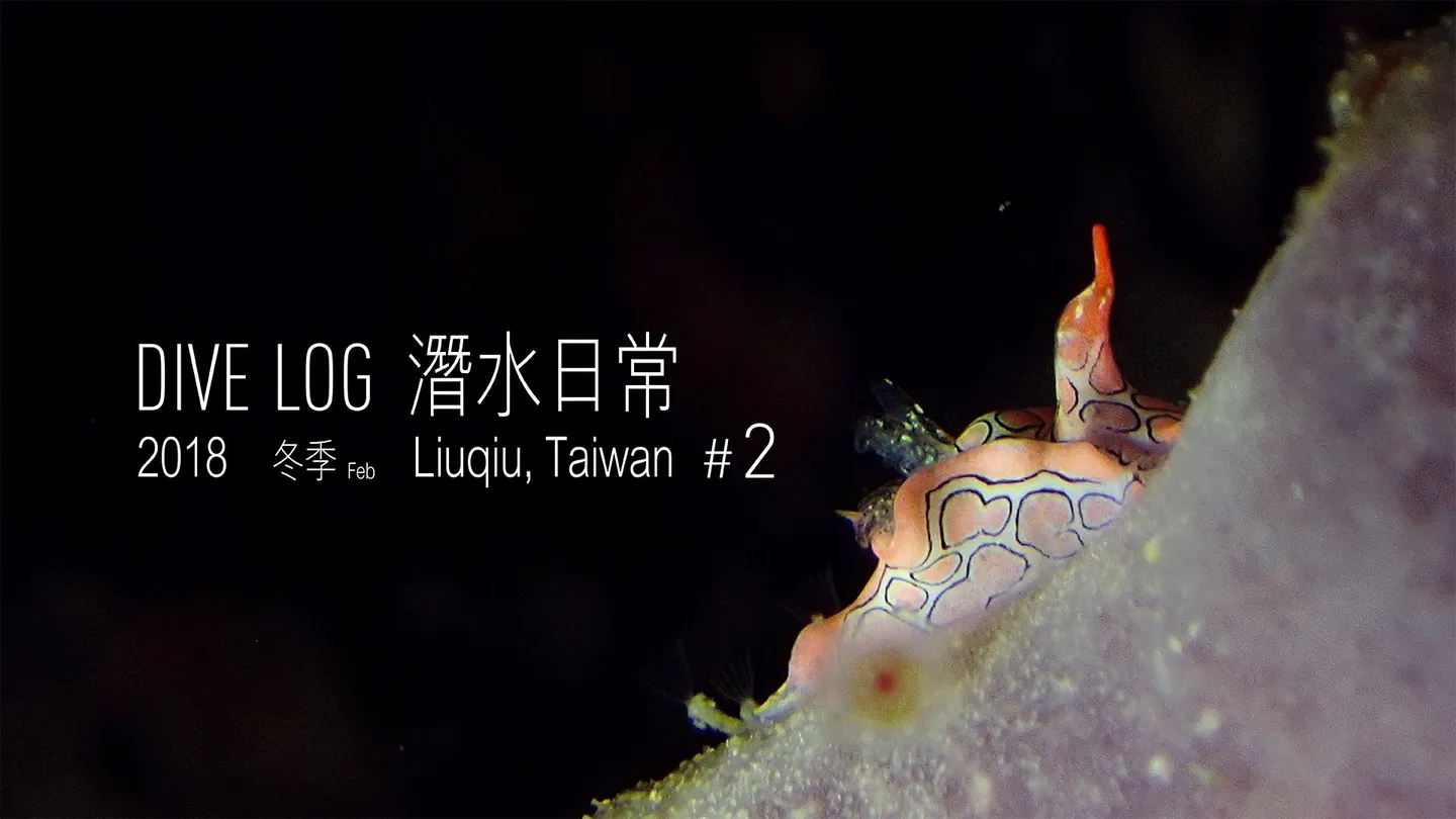 OCEAN LOG 海洋潛水日常 #2 - 徐伯元