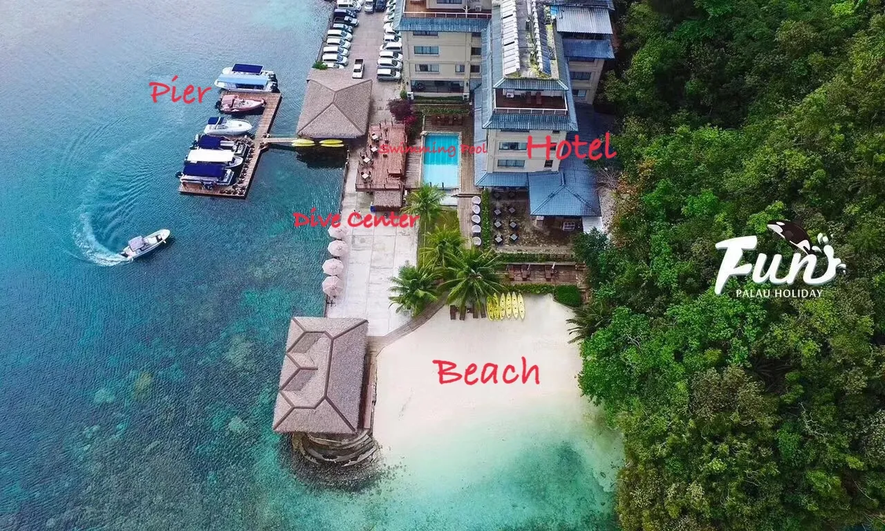 帛琉 浪潛水 潛水旅行 自由潛水 水肺潛水