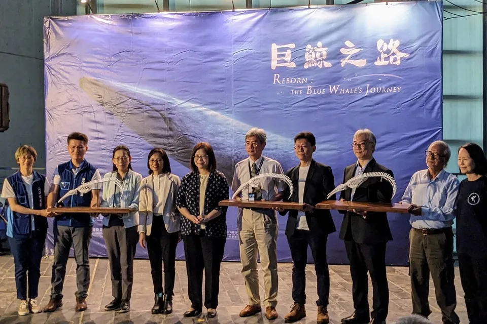 海生館展出長濱藍鯨完整標本 骨骼繩索勒痕喚起保育省思