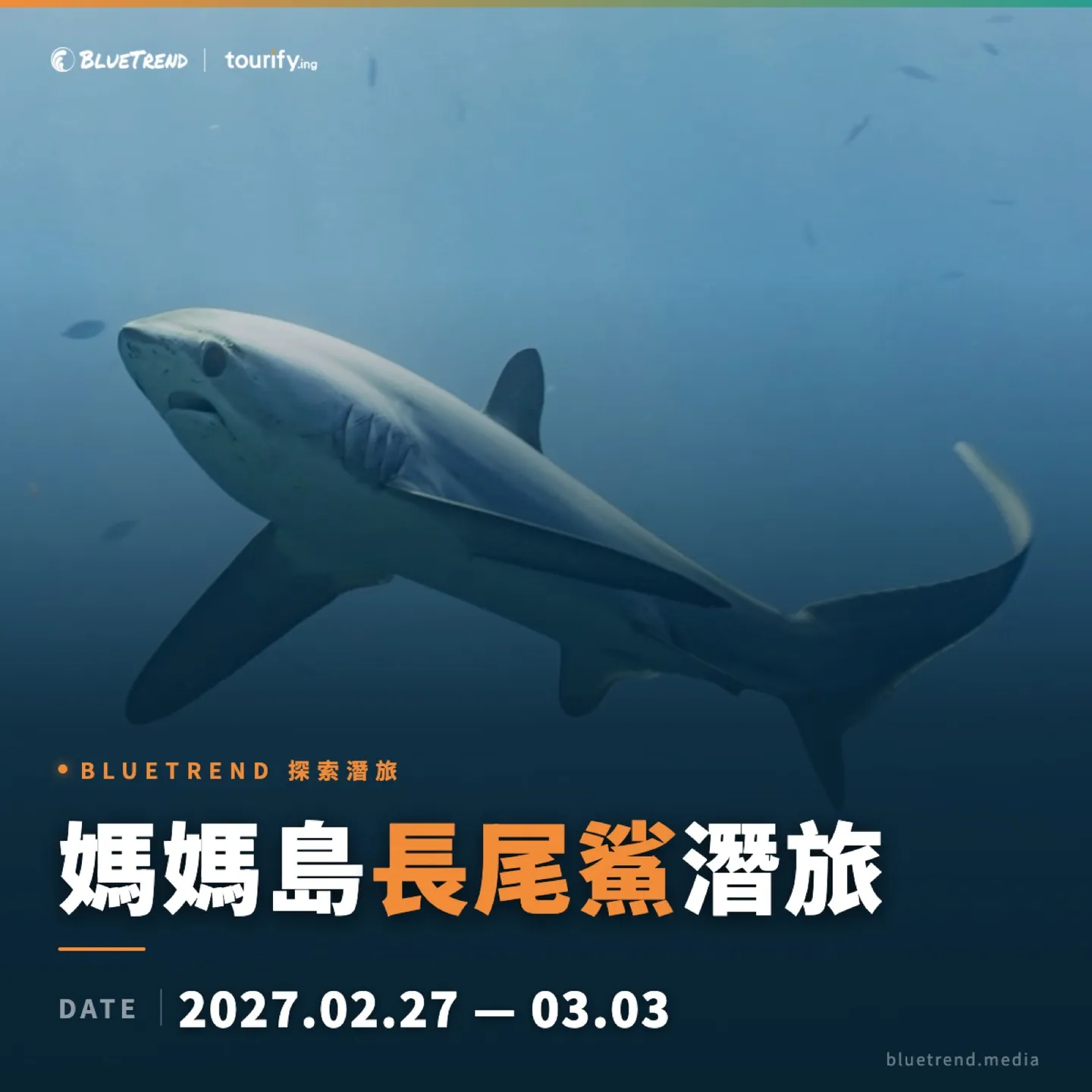 媽媽島長尾鯊潛旅 2027.02.27 到 03.03，BlueTrend x Tourify 探索潛旅
