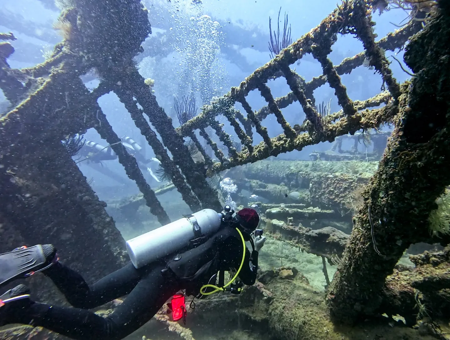 潛水員拍攝 Rig Reef 鋼骨結構生態