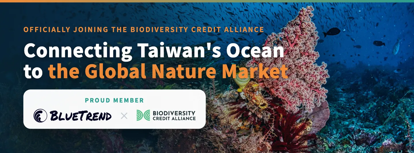 BlueTrend officially becomes a member of the Biodiversity Credit Alliance (BCA), connecting Taiwan's ocean to the global nature market