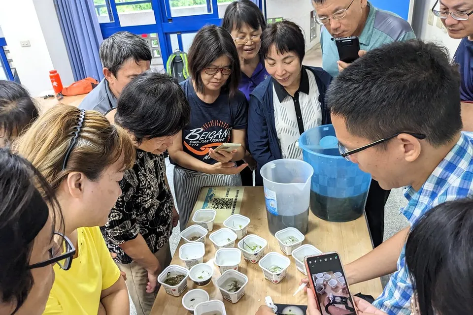 守護海草床 走入鹽田當個公民科學家