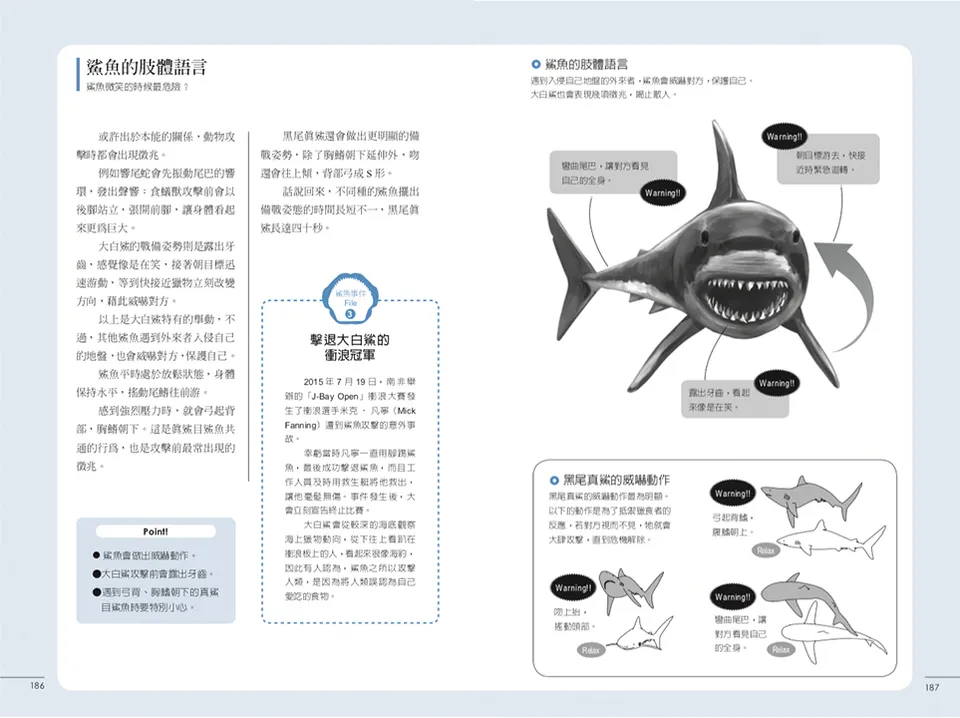 鯊魚圖鑑 shark