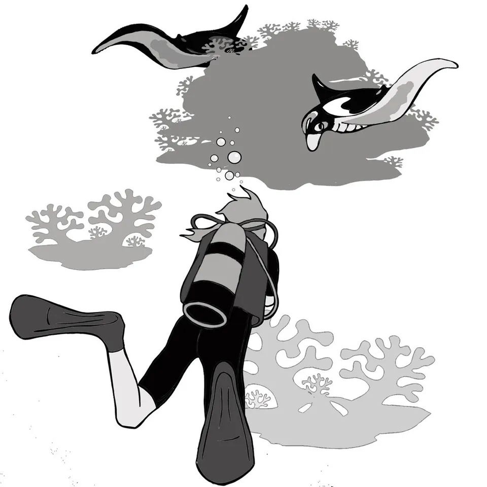 Manta Trust 守則第七步圖示：水肺潛水員停在清潔站外圍，兩隻 Manta 在主清潔區接受清理