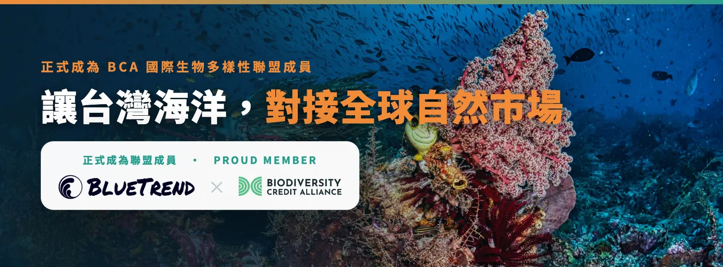 BlueTrend 藍色脈動正式成為 Biodiversity Credit Alliance（BCA）國際生物多樣性聯盟成員，讓台灣海洋對接全球自然市場