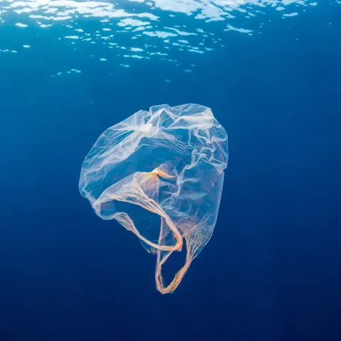 圖表：到 2050 年海中塑膠恐多於魚