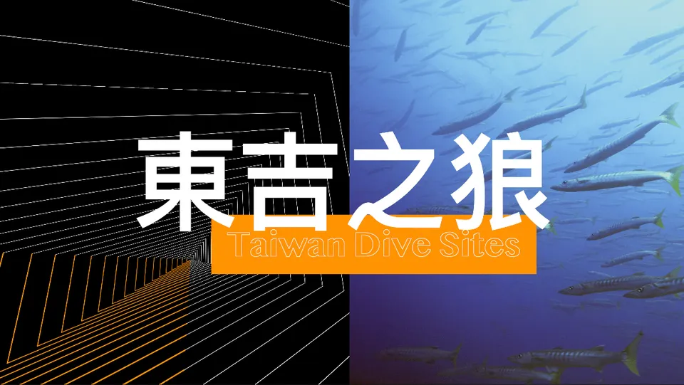 【Taiwan Dive Sites】不用出國也可以挑戰強流潛點之1-澎湖南四島 東吉之狼
