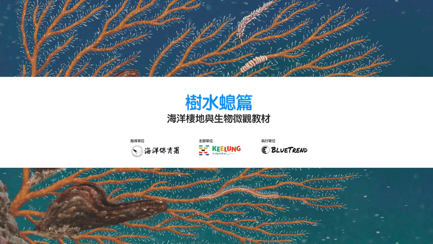 【布魯小教室】樹水螅篇｜海洋棲地與生物微觀教材Part 7  ft. 海保署、基隆市政府