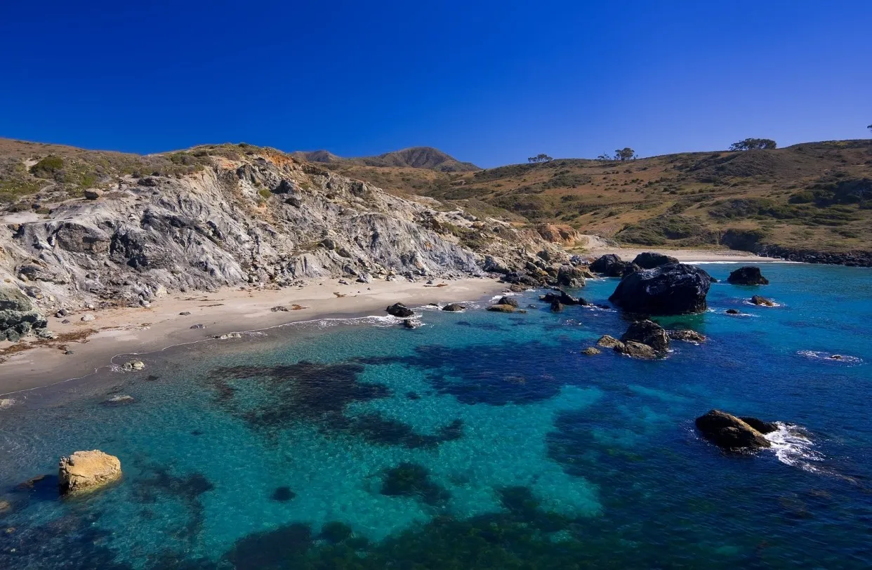 美國的秘密潛點
美國潛水 scubadiverlife.com