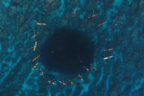 四支槳（Four Paddles）為保護區的四項計畫主軸