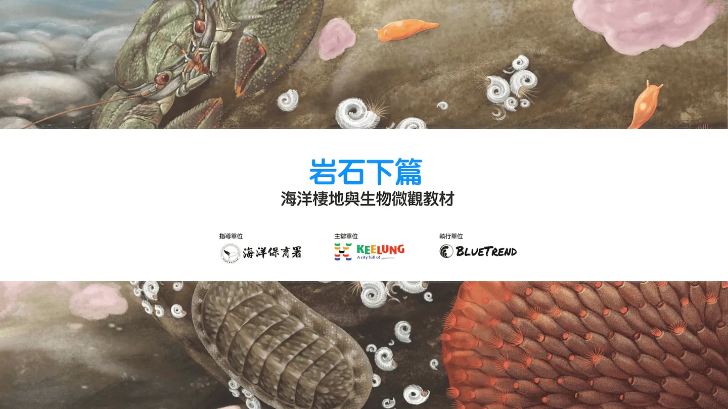 【布魯小教室】岩石下篇｜海洋棲地與生物微觀教材Part 3 ft. 海保署、基隆市政府