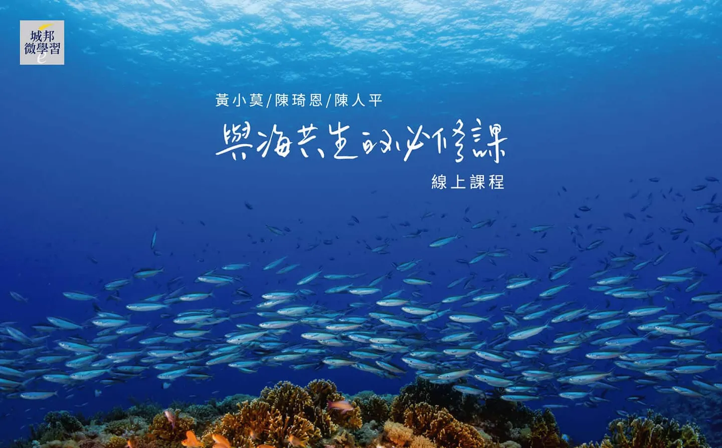 【與海共生的必修課】6/8世界海洋日，愛海人推線上課，呼籲搶救大海