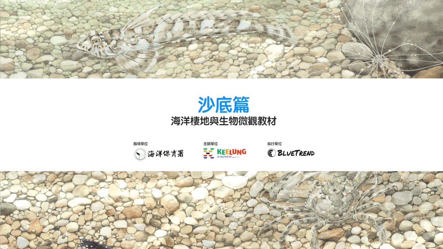 【布魯小教室】沙底篇｜海洋棲地與生物微觀教材Part 8  ft. 海保署、基隆市政府