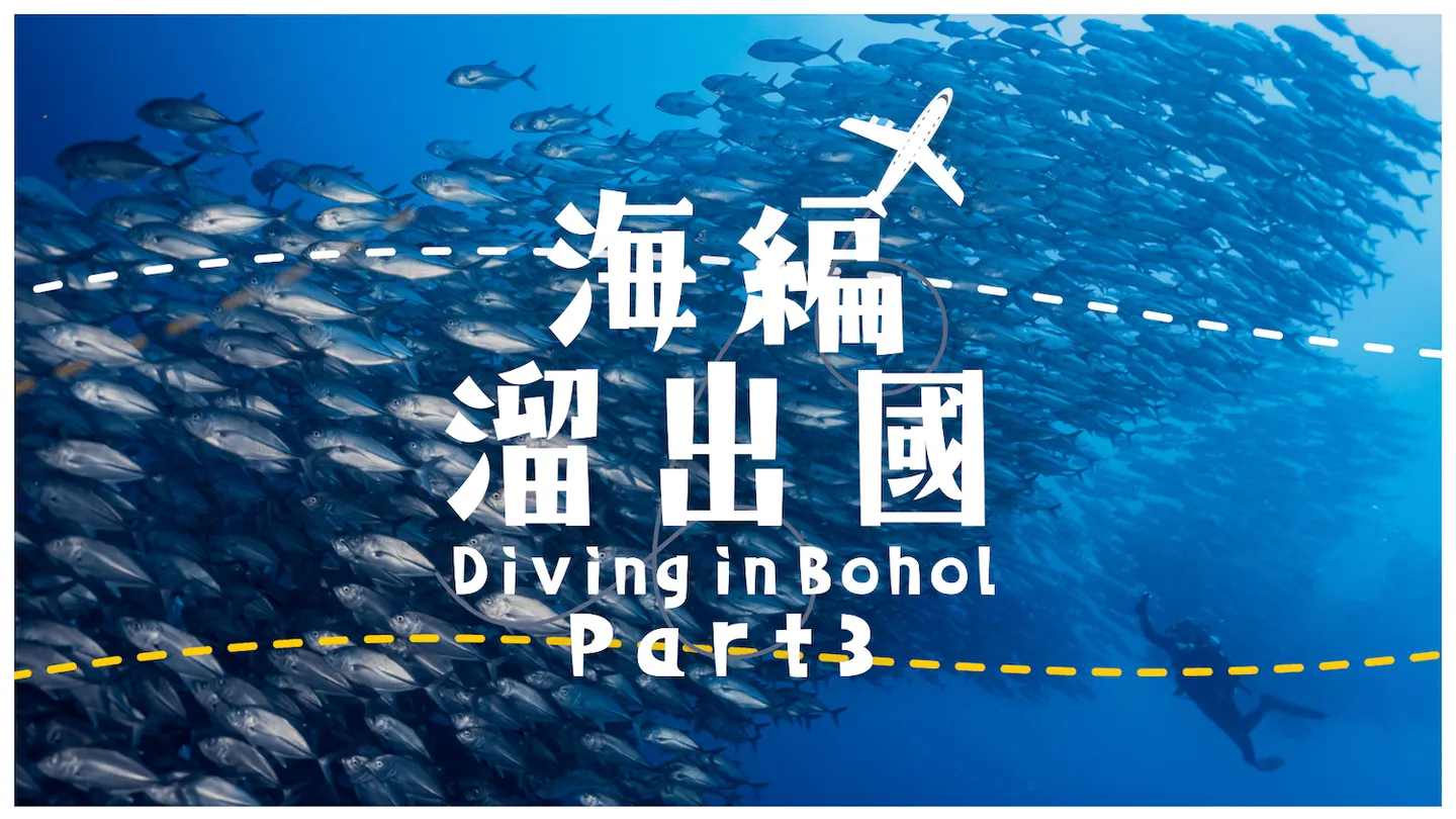 【菲律賓薄荷島、邦勞、巴里卡薩】潛往 Pamilacan Island +觀禮自由潛水台灣盃選手之夜 feat. 海島瘋