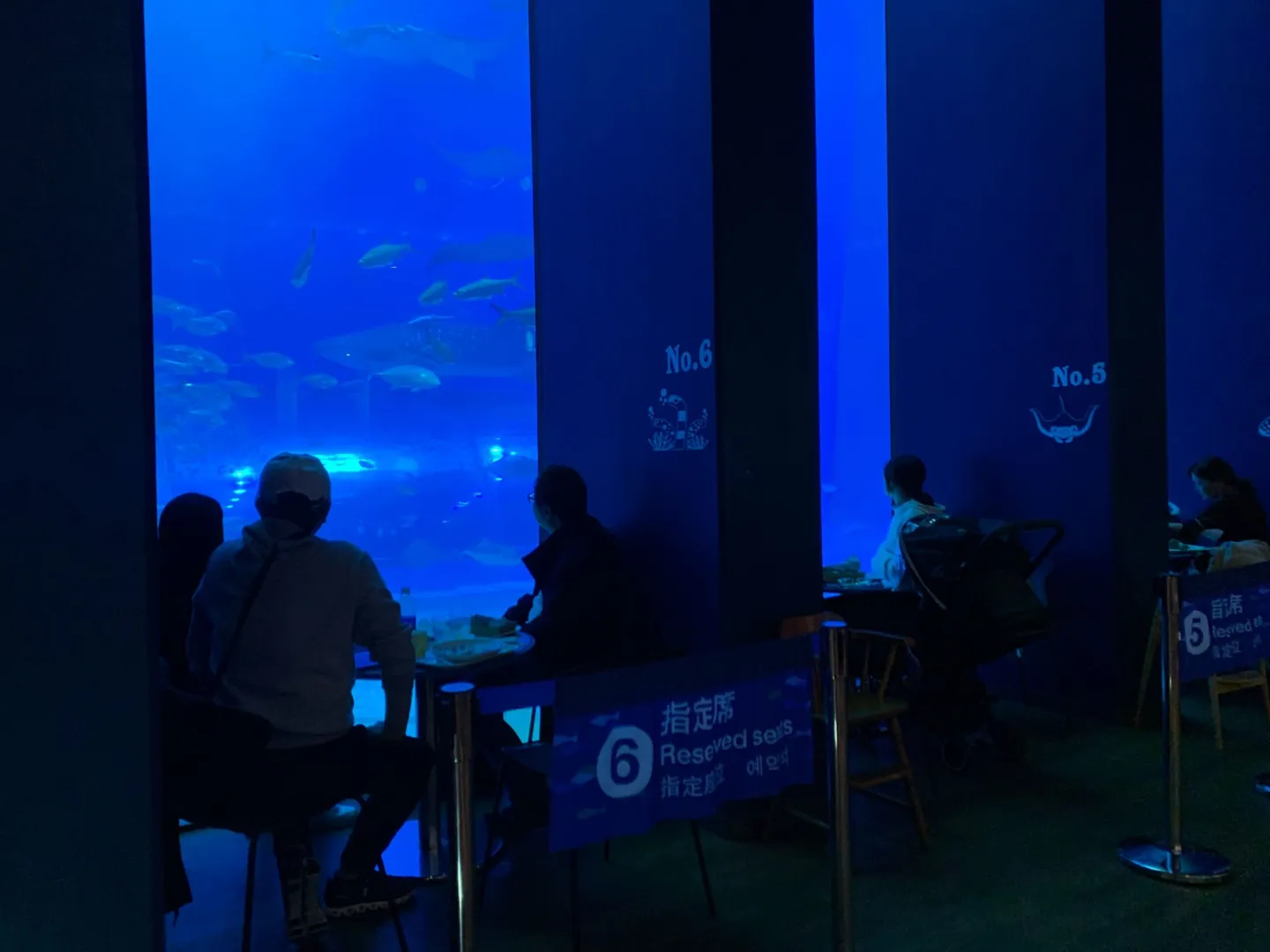 The Ocean Blue café inside Okinawa Churaumi Aquarium
