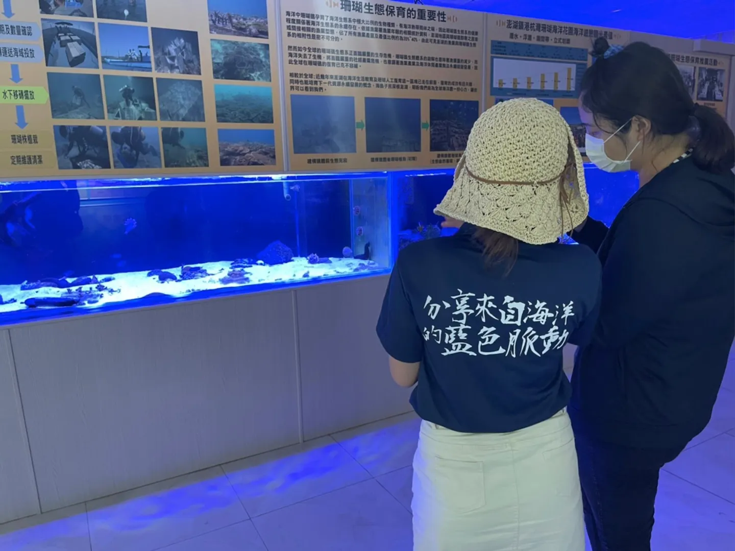 澎湖種苗產 珊瑚復育1