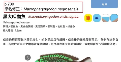 海洋博物誌 東北角 海洋圖鑑 魚類圖鑑