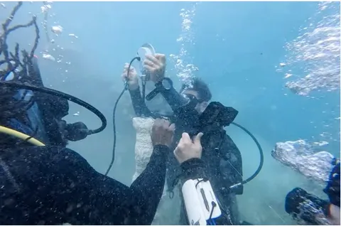 潛水員在牙買加北岸的珊瑚礁附近架設水下喇叭