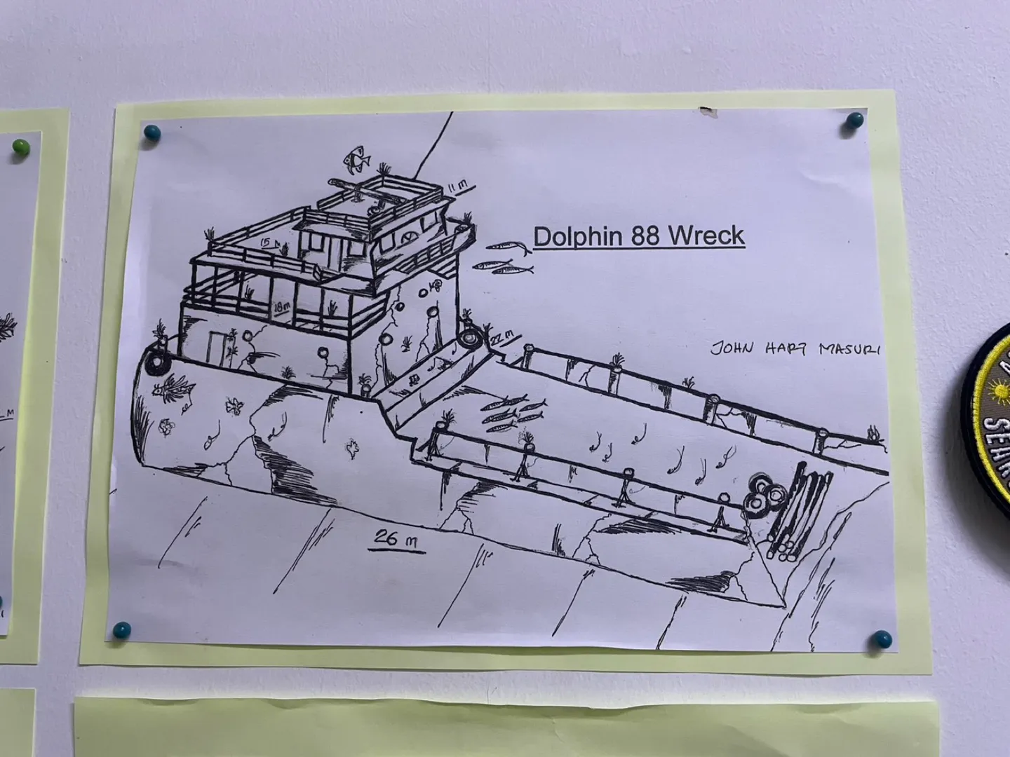 Dolphin 88 Wreck 沉船示意圖