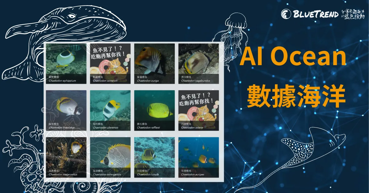 AI Ocean 數據海洋 海洋生物AI辨識甘苦談
